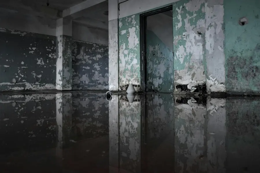 Standing water across a dark basement floor before extraction in Fresh Meadows